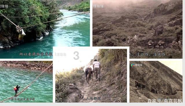 杨幂粉色浴袍秀幸福，惊艳现身撸猫模样
