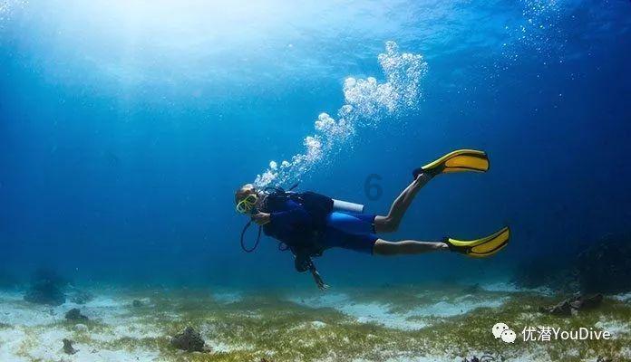 一个自媒体“地域黑”决定向一亿河南人道歉：曾经以为找到了流量密码