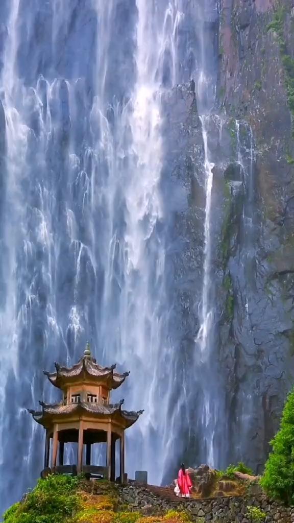 营救小猫头鹰